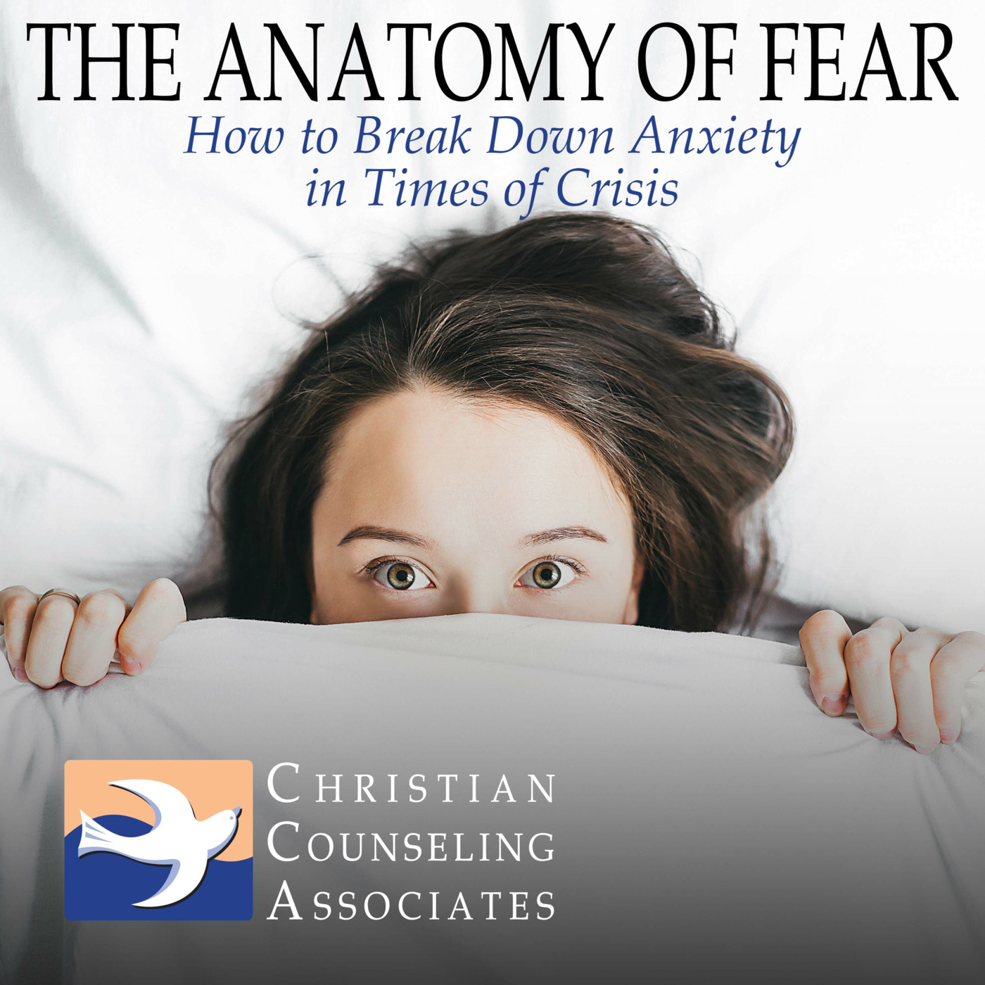 The Anatomy of Fear