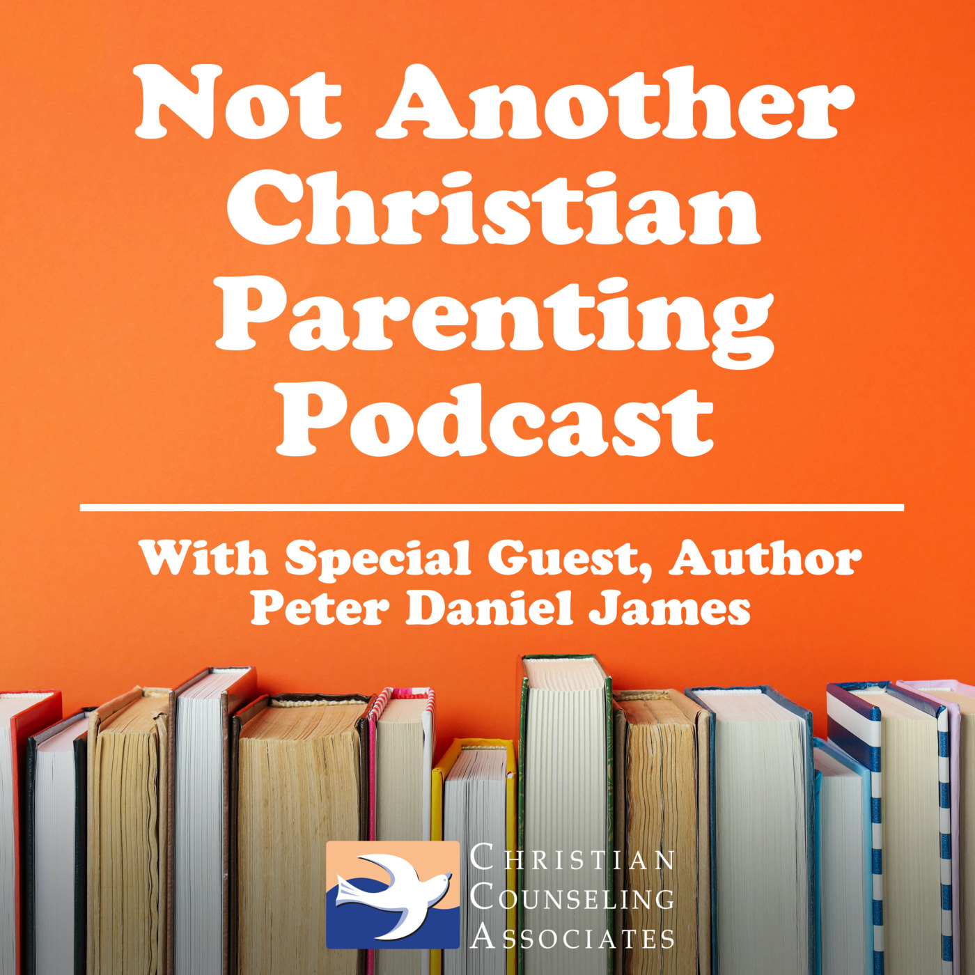 Episode 44: Not Another Christian Parenting Podcast