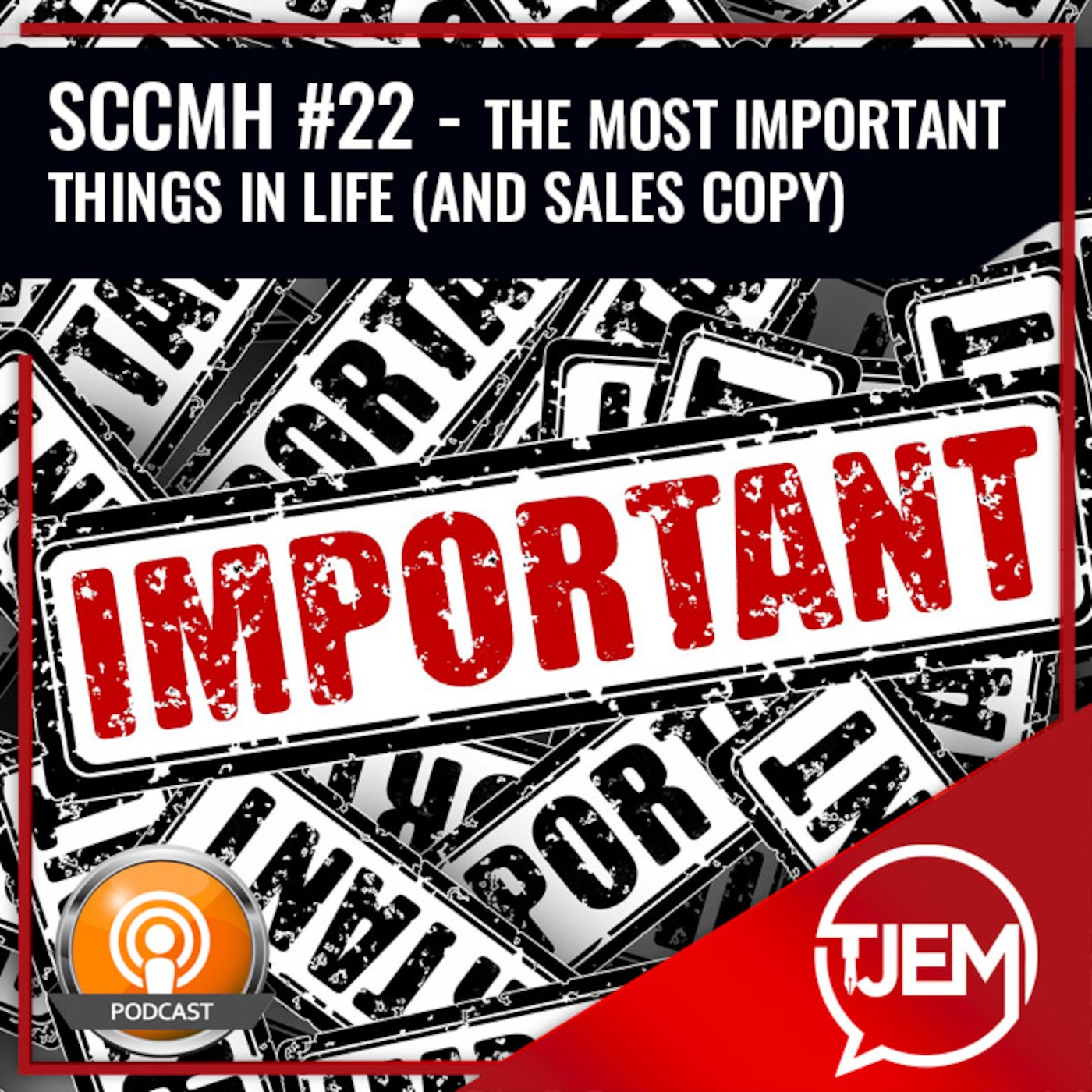 The Most Important Things In Life And Sales Copy - Podcast 22 episode artwork