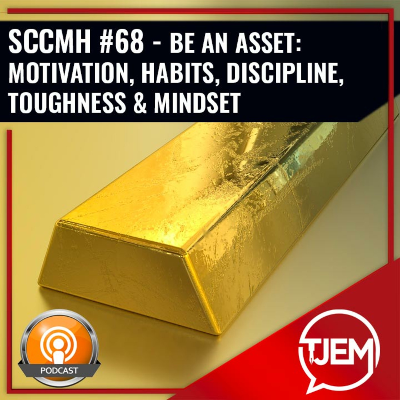 Be an Asset: Motivation, Habits, Discipline, Toughness, Foresight and Mindset - (Podcast 68) episode artwork
