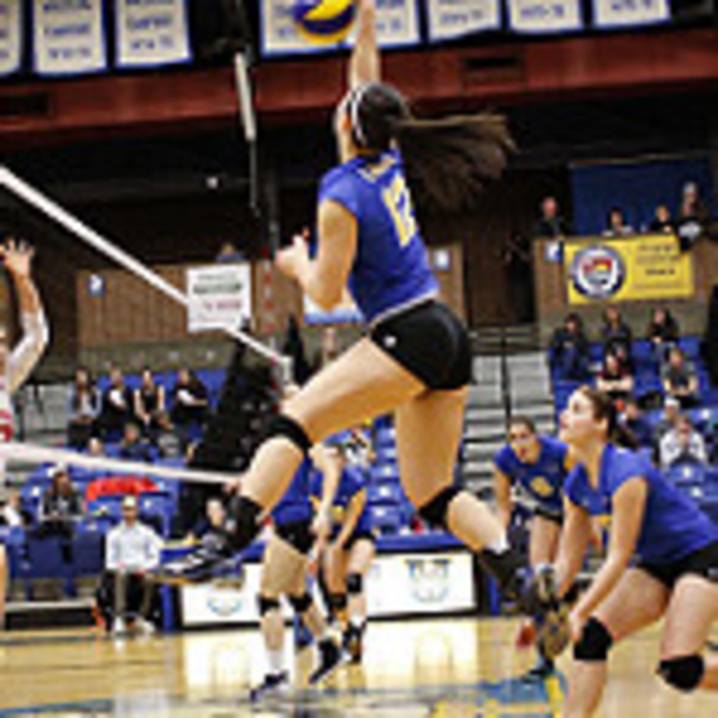 Thunderwolves Sports Feed Podcast