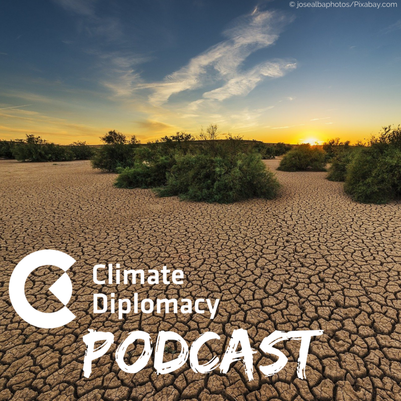 Episode 15: Climate Security around the world: examples of locally informed solutions - live from #BCSC 2021 episode artwork