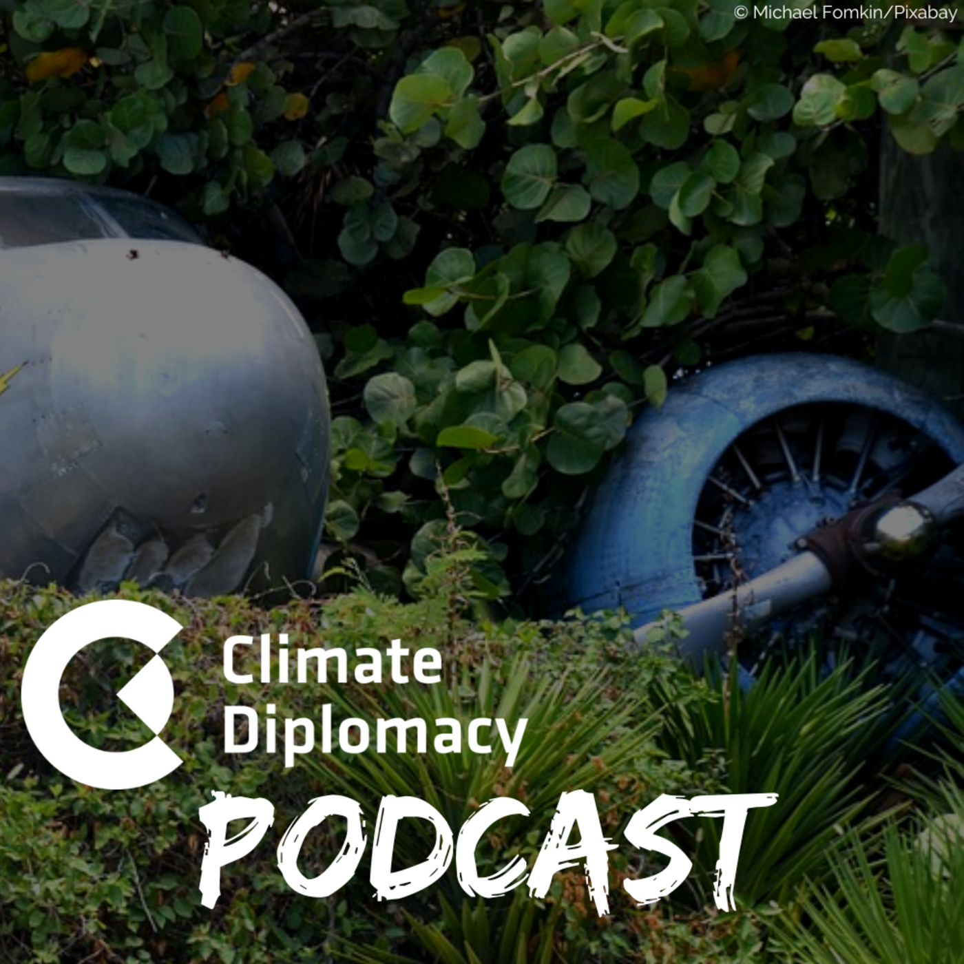 Episode 24: Eco wars & wasted havens: can international environmental law curb the impacts of conflicts on nature?