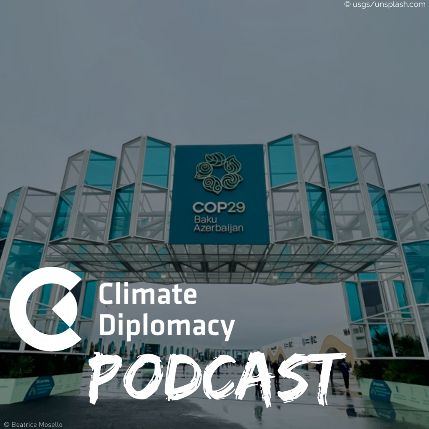 Episode 45: COP29 debrief: Where do we stand on climate finance, action and peace?
