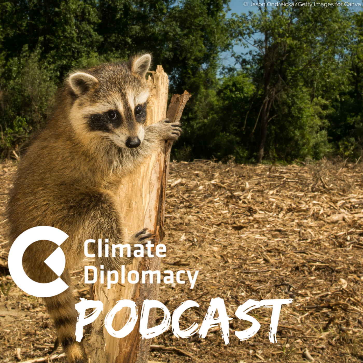 Episode 49: Unrooting environmental crime: Impacts and opportunities for climate and security