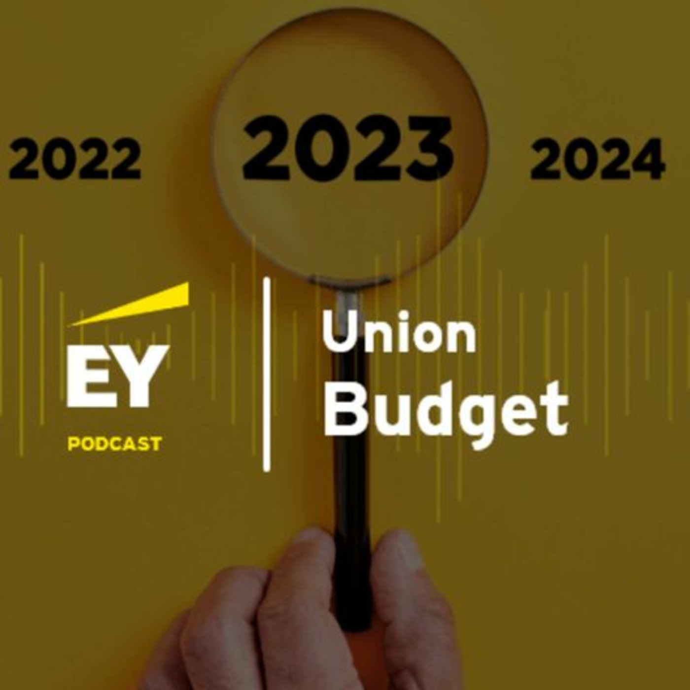 Episode 2: Budget 2023 and tax litigation