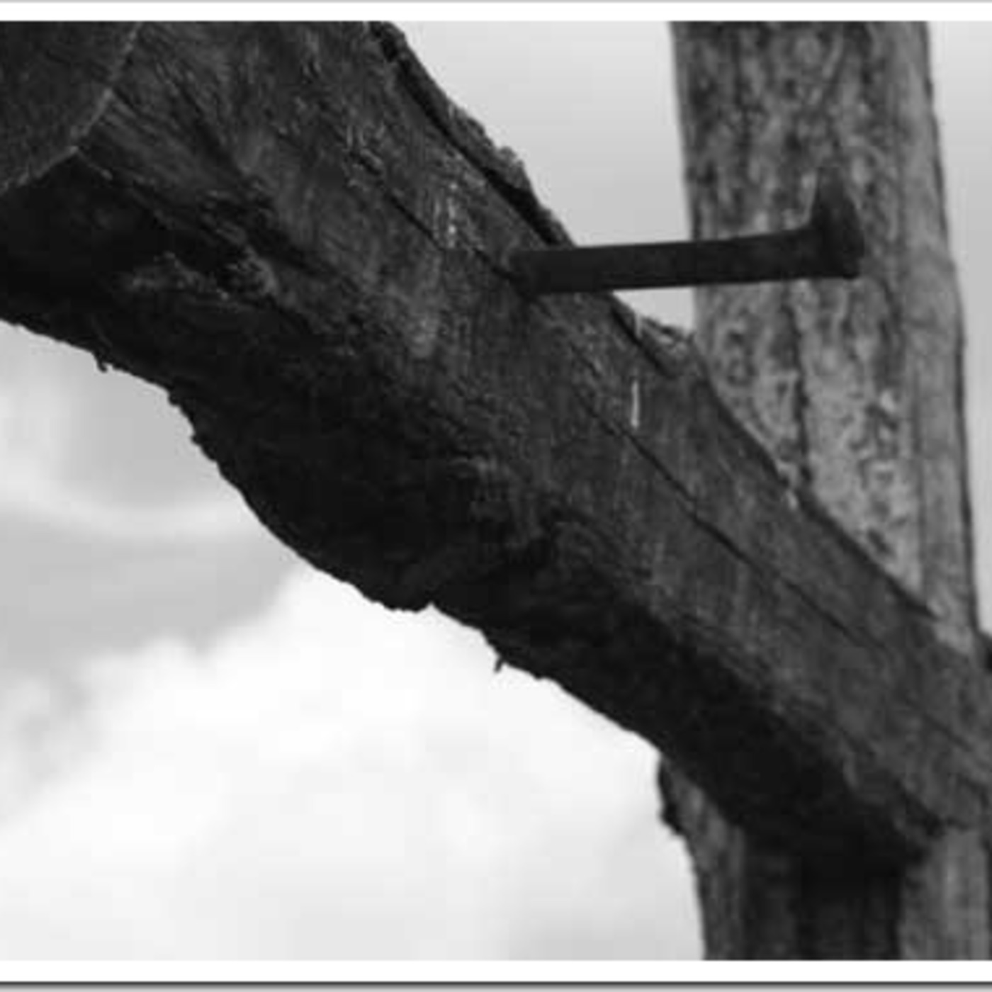 July 1, 2012 - The Cost of discipleship