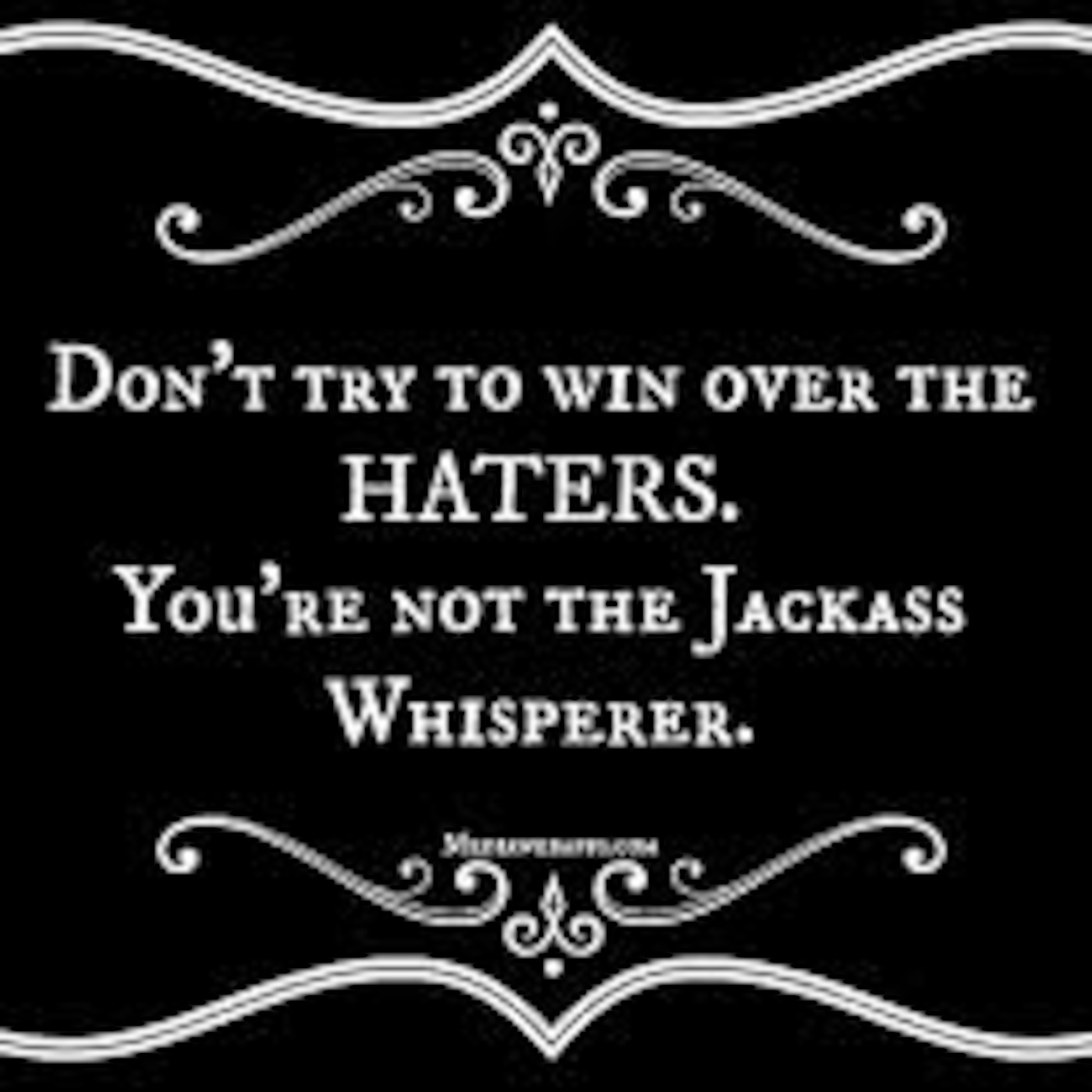 Episode 16 - You're Not The Jackass Whisperer