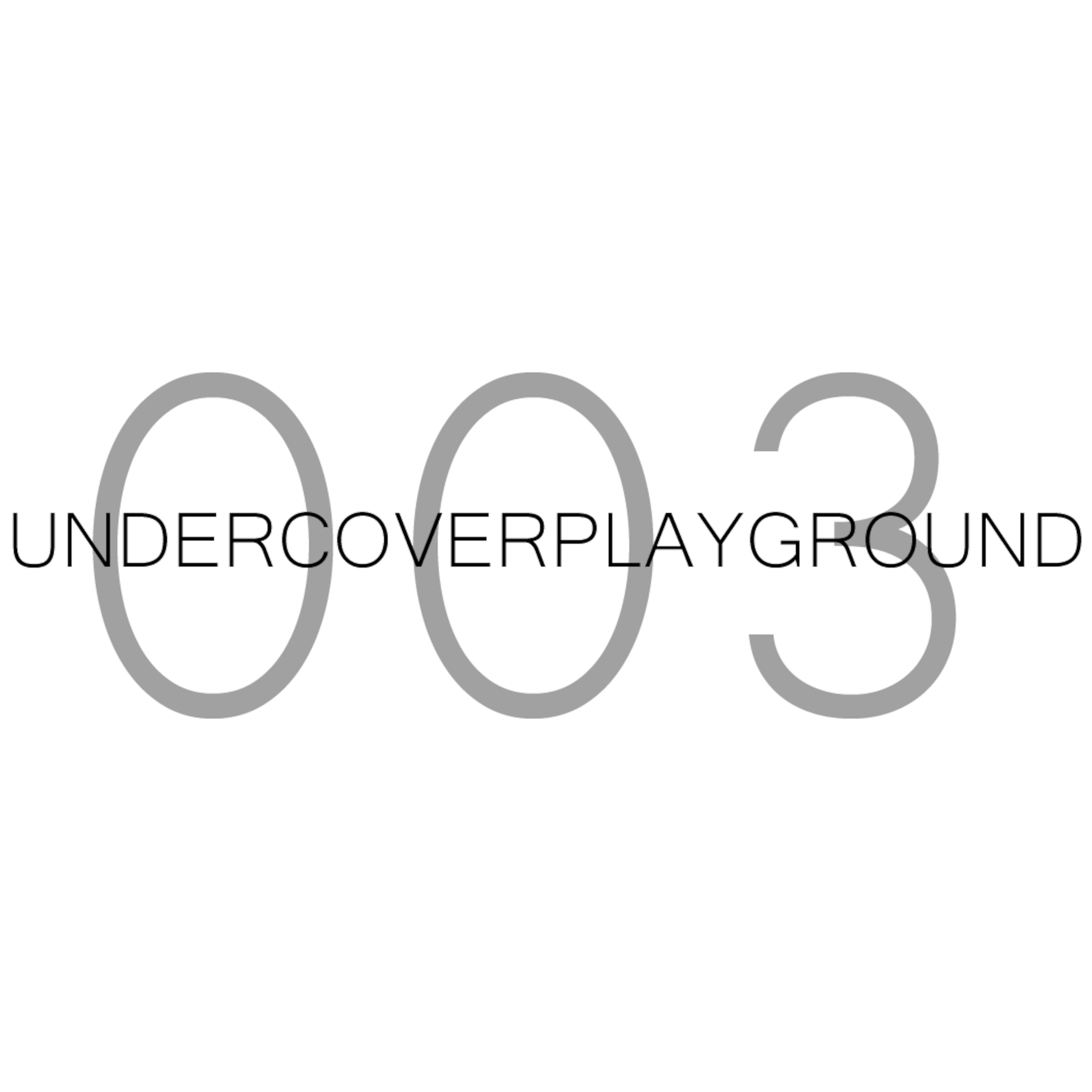 Undercover Playground