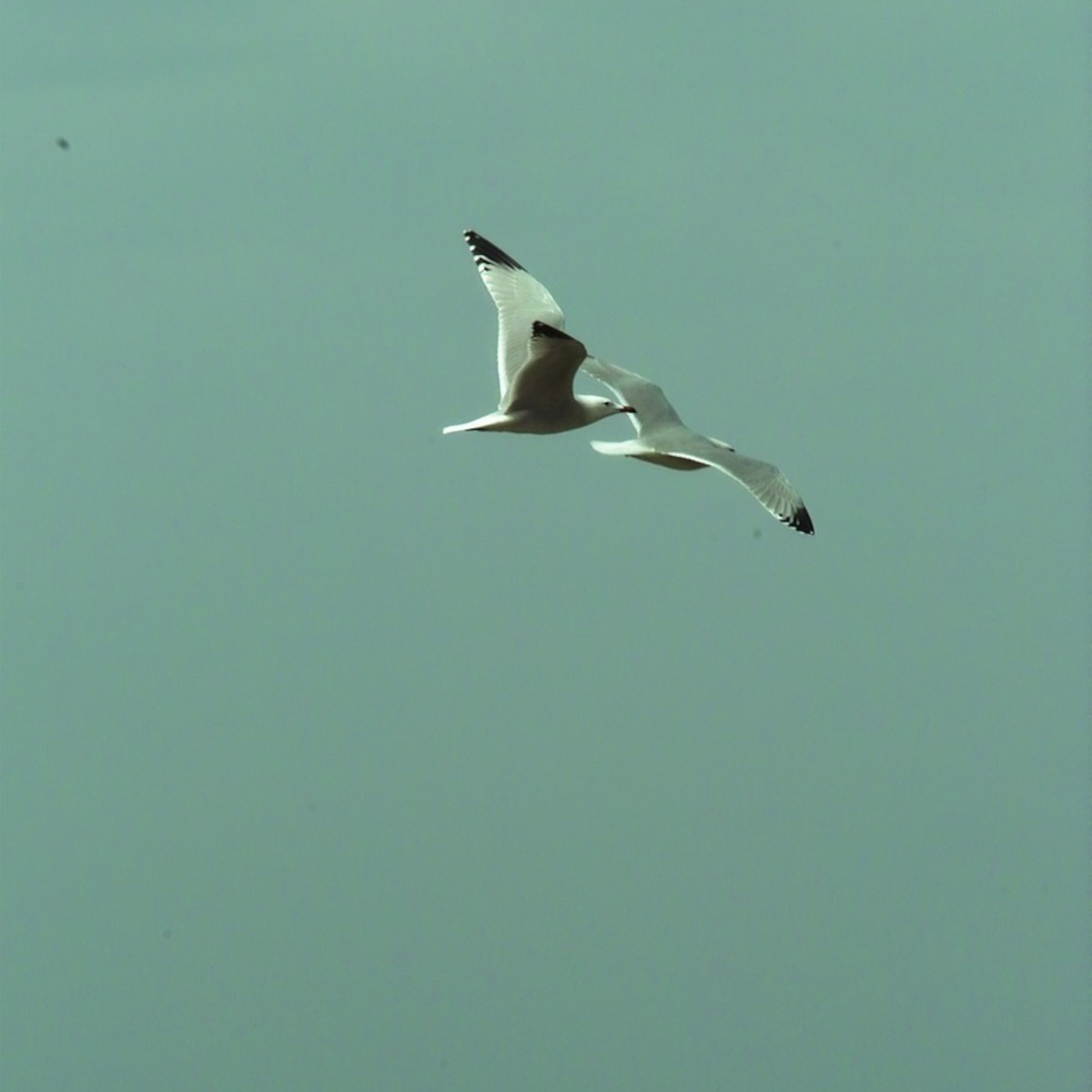 031 Erfolg oder Erfüllung