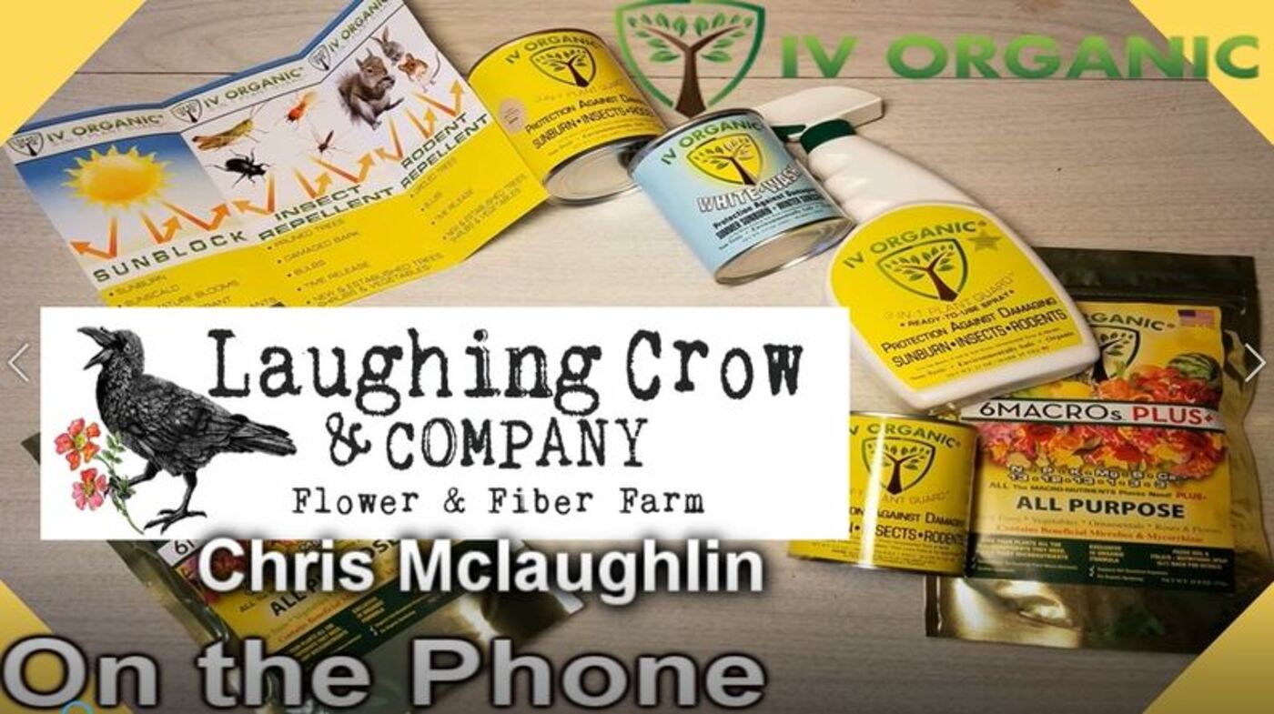 S3E31 interview with Flower/fiber farmer Chris Mclaughlin - The Wisconsin Vegetable Gardener radio show