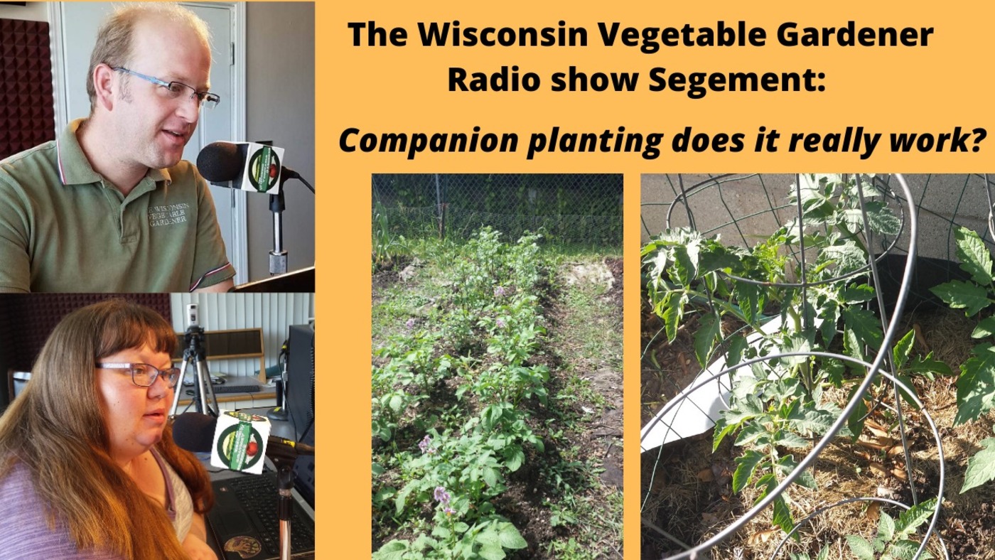 Segment 2 from S4E2 Companion planting does it work? - The Wisconsin Vegetable Gardener radio show