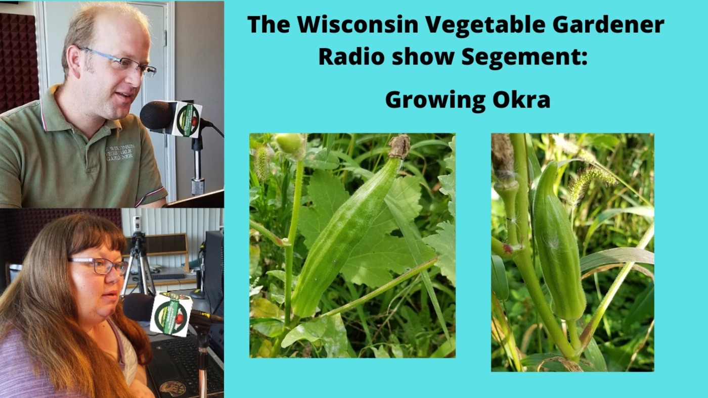 Segment 2 of S4E5 Growing Okra Everywhere Not Just The South - The Wisconsin Vegetable Gardener radio show