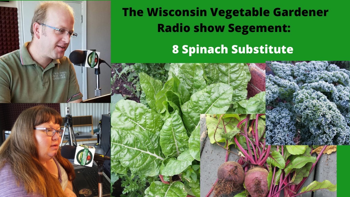Segment 2 of S4E6 - 8 heat proof spinach substitutes - The Wisconsin Vegetable gardener radio show