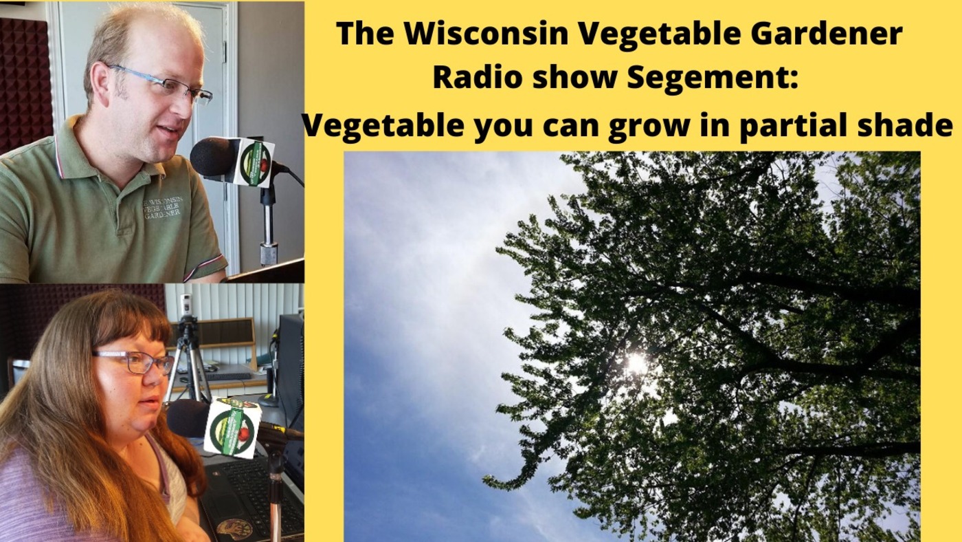 Segment 1 of S4E7 Vegetables for partial shade, - The Wisconsin Vegetable Gardener Radio show