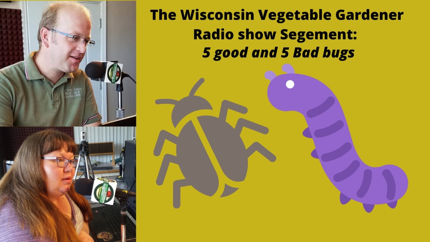 Segment 1 of S4E9 Five Good & Five Bad Bugs - The Wisconsin Vegetable Gardener Radio show