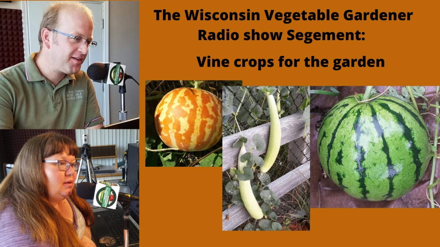 Segment 2 of S4E10 Growing vine crops, The Wisconsin Vegetable Gardener Radio Show