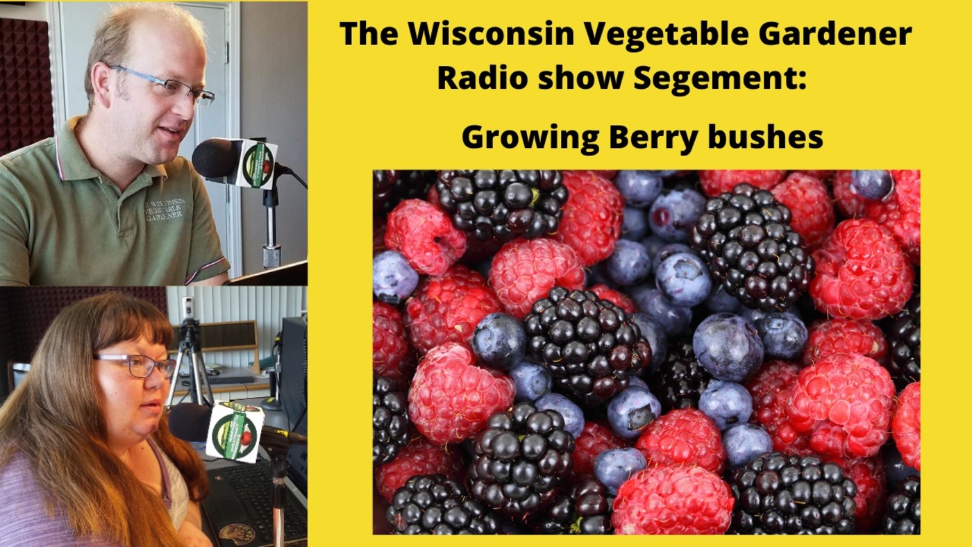 Segment 2 of S4E11 Growing berry bushes - The Wisconsin Vegetable Gardener radio show
