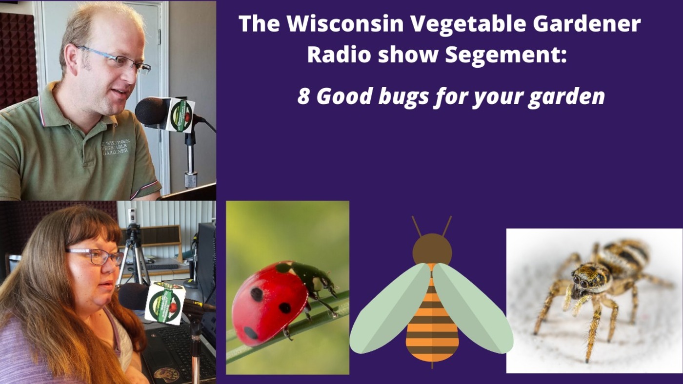 Segment 1 of S4E14 Eight bugs you want in the garden - The Wisconsin Vegetable Gardener radio show
