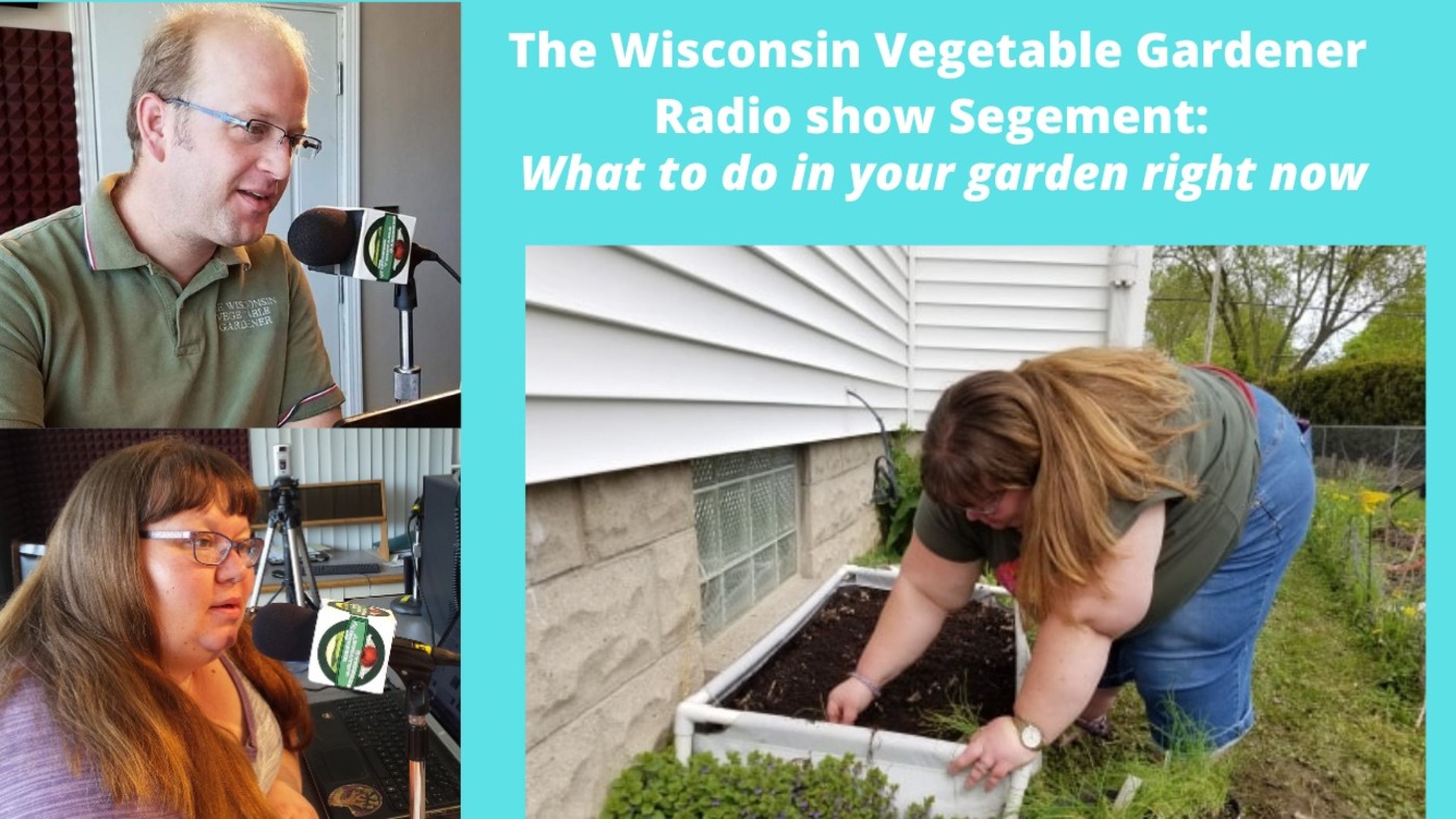 Segment 1 of S4E28 What to be doing now in the garden,- The Wisconsin Vegetable Gardener radio show