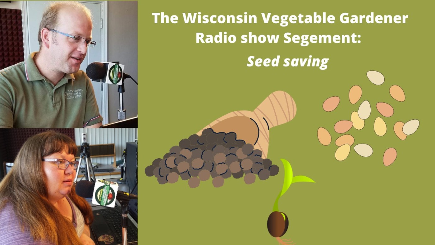 Segment 2 of S4E29 Saving seeds - The Wisconsin Vegetable Gardener radio show