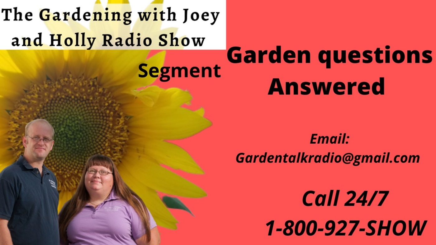 The Gardening with Joey & Holly radio show Podcast/Garden talk radio show (heard across the country)