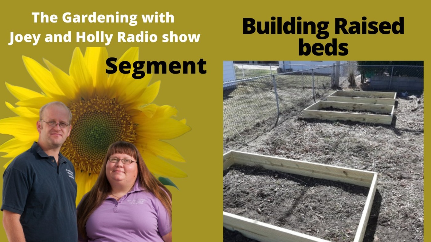 Segment 1 of S5E4 Building raised bed, - The Gardening with Joey and Holly radio show