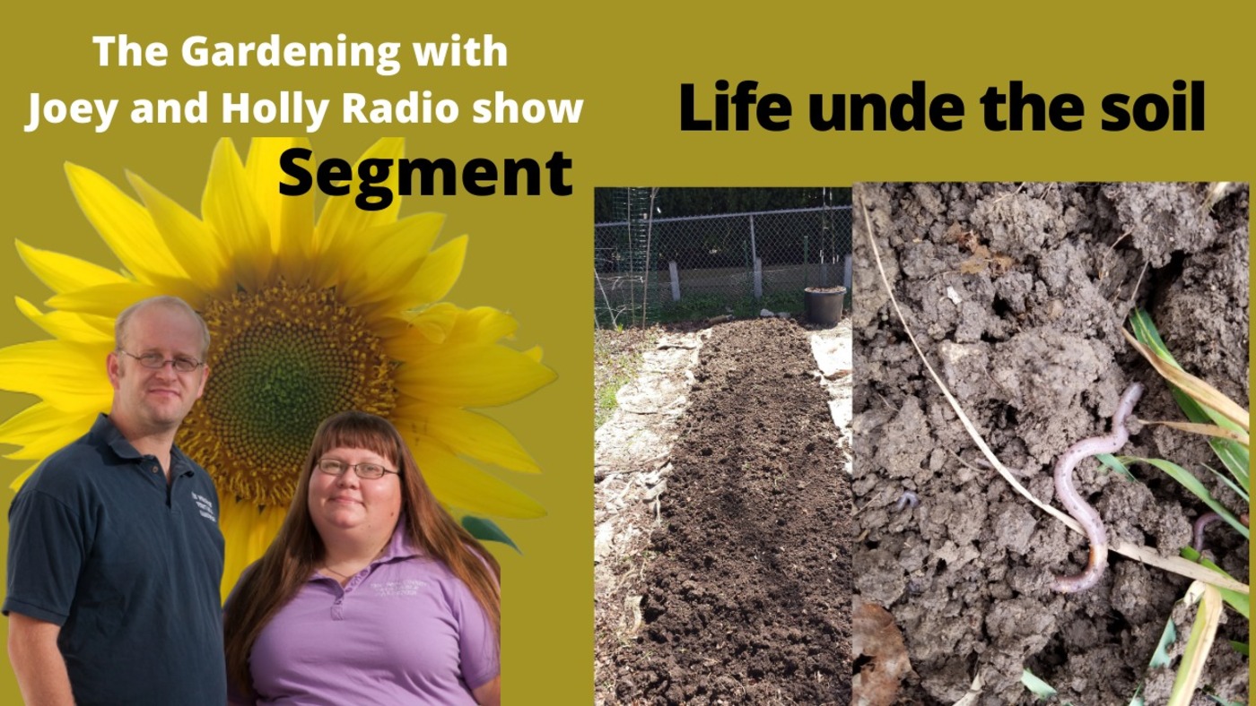 Segment 2 of S5E6 Life under the soil - The Gardening Radio show