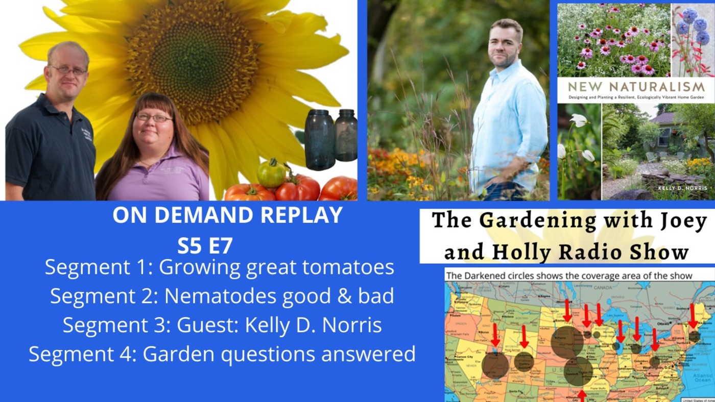 S5E7 Growing Great Tomatoes, Good & Bad Nematodes, Guest Kelly D. Norris - The Gardening with Joey and Holly Radio show