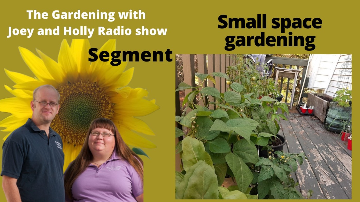 Segment 1 of S5E9 Small space gardening - The Gardening with Joey and Holly Radio show