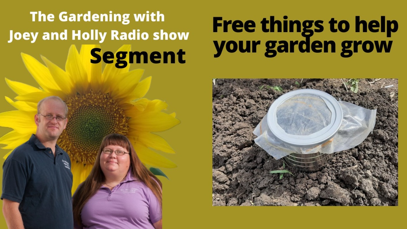 Segment 2 of S5E10 Free items to help  the garden grow better - The Gardening with Joey and Holly Radio Show