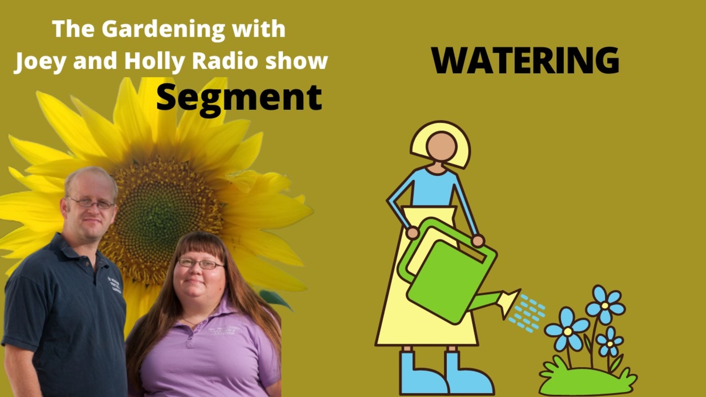 Segment 2 of S5E11 Watering - The Gardening with Joey and Holly Radio Show