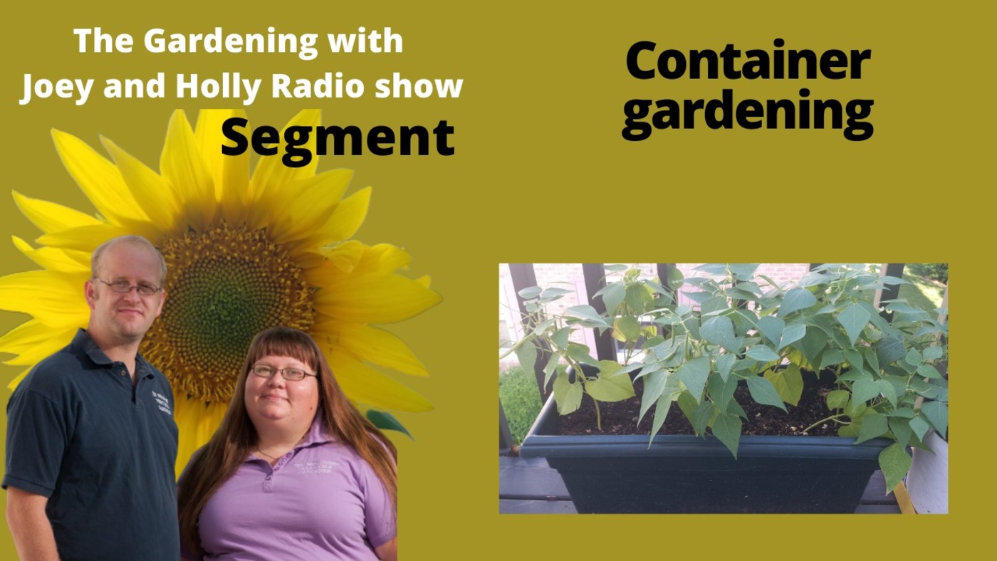 Segment 2 of S5E12  Growing in containers - The Gardening Radio show