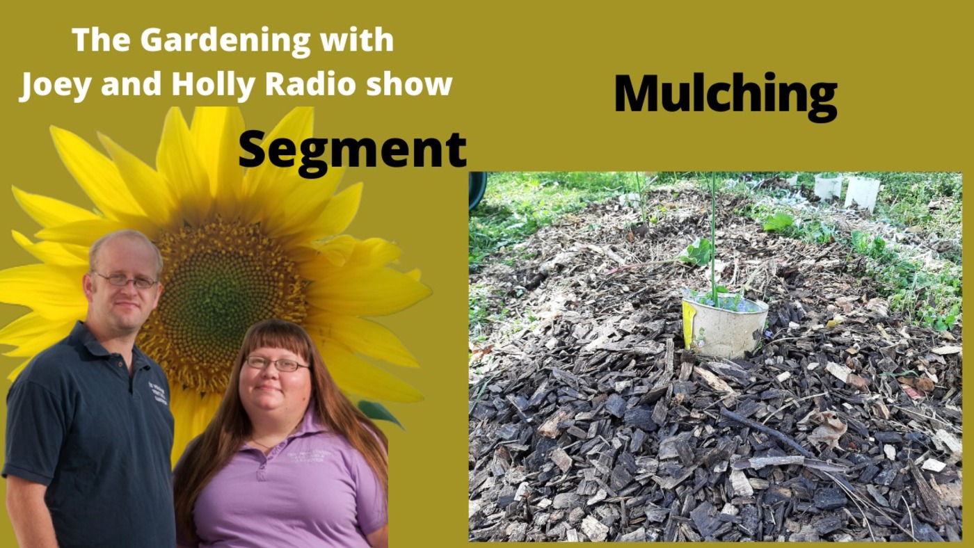 The Gardening with Joey & Holly radio show Podcast/Garden talk radio show (heard across the country)