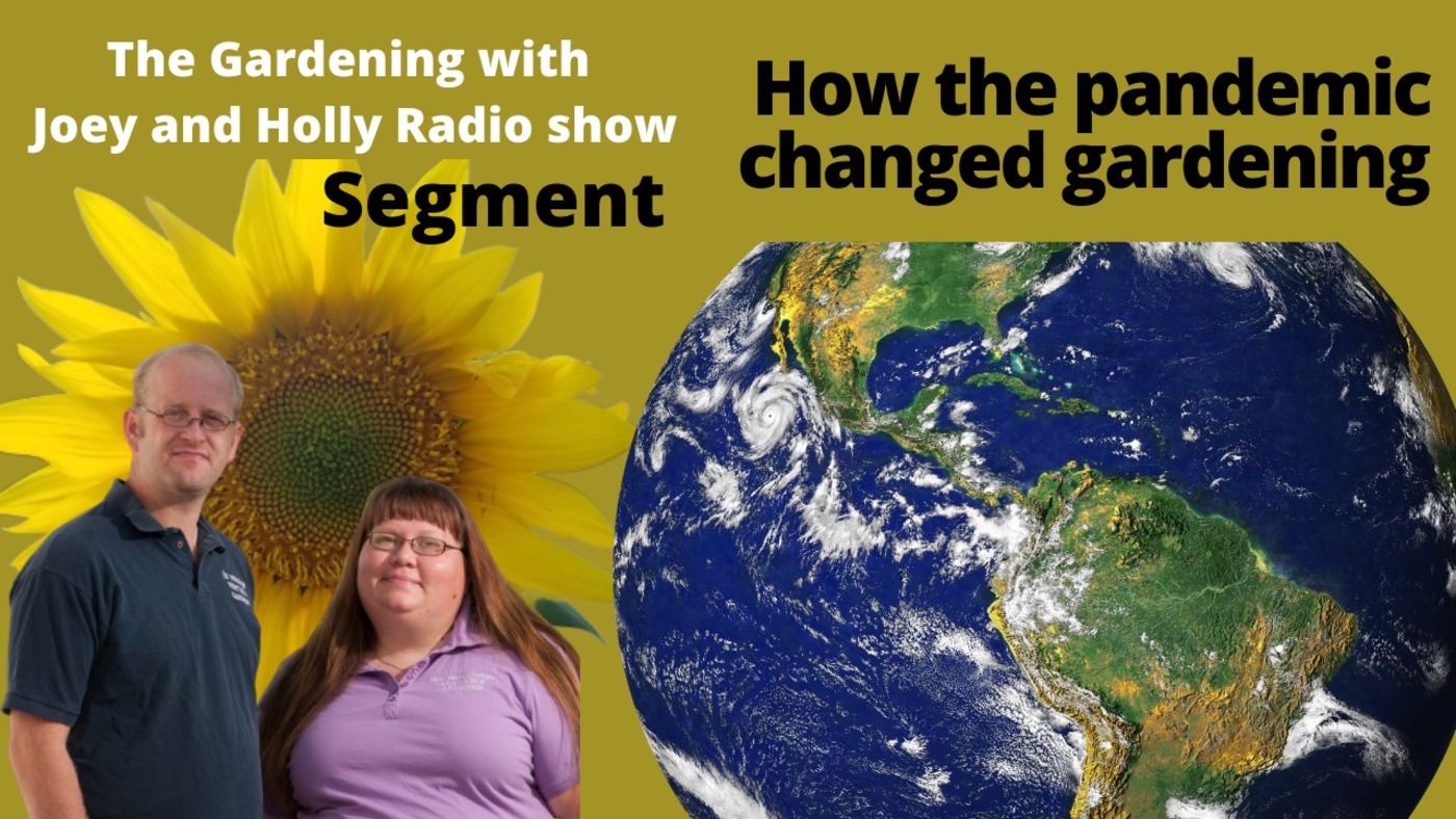 Segment 2 of S5E15 How the pandemic has changed gardening - The Gardening with Joey and Holly Radio show