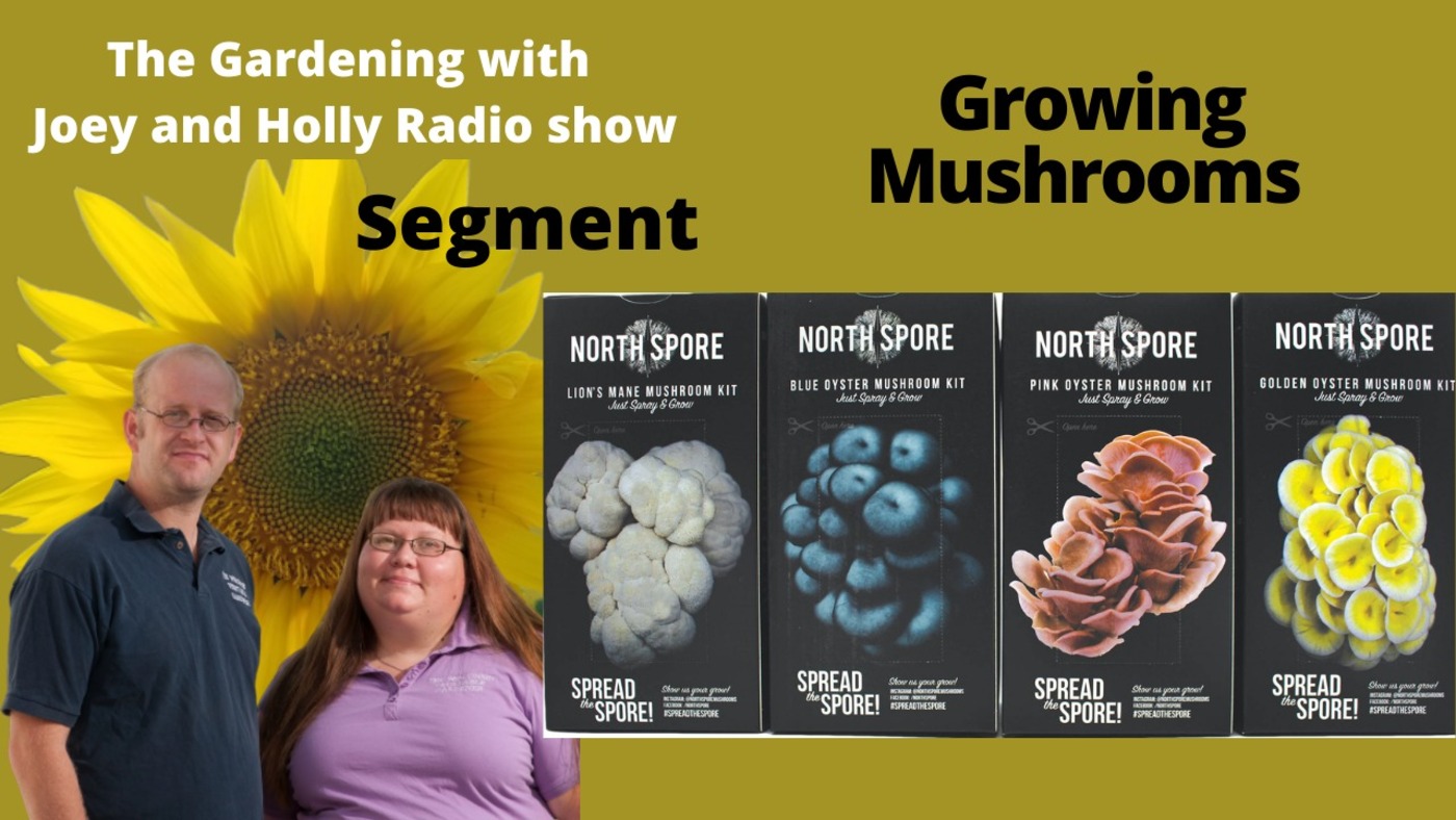 Segment 1 of S5E17 Growing Mushrooms (Sponsored by North Spore) -The Garden Radio Show
