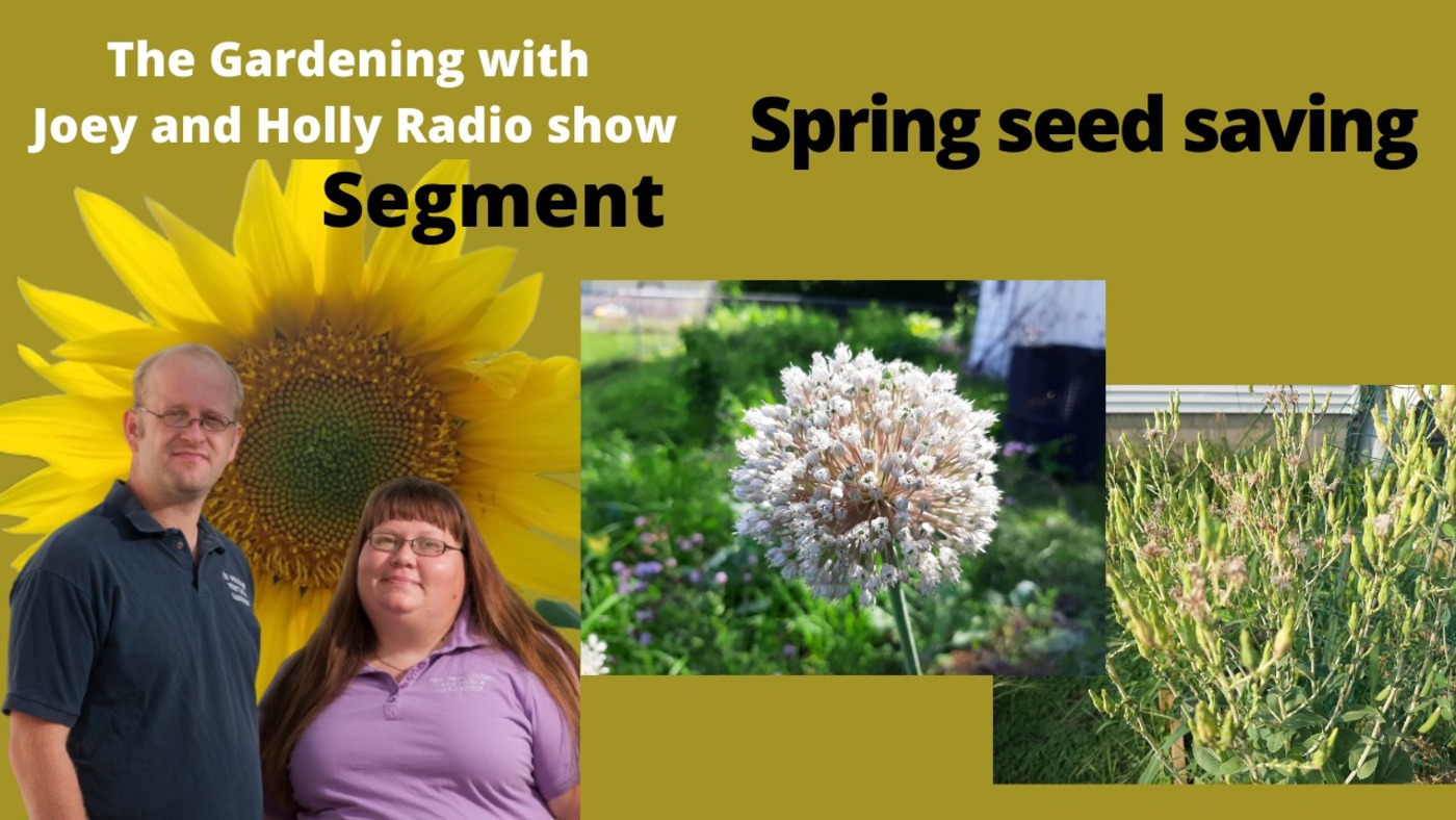 Segment 2 of S5E17 Spring seed saving , Guest Wendy Silveira -The Garden Radio Show