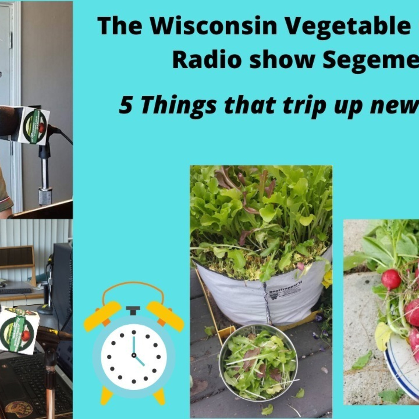 Segment 2 from S4E1 5 Things that trip up all gardeners - The Wisconsin Vegetable Gardener radio show
