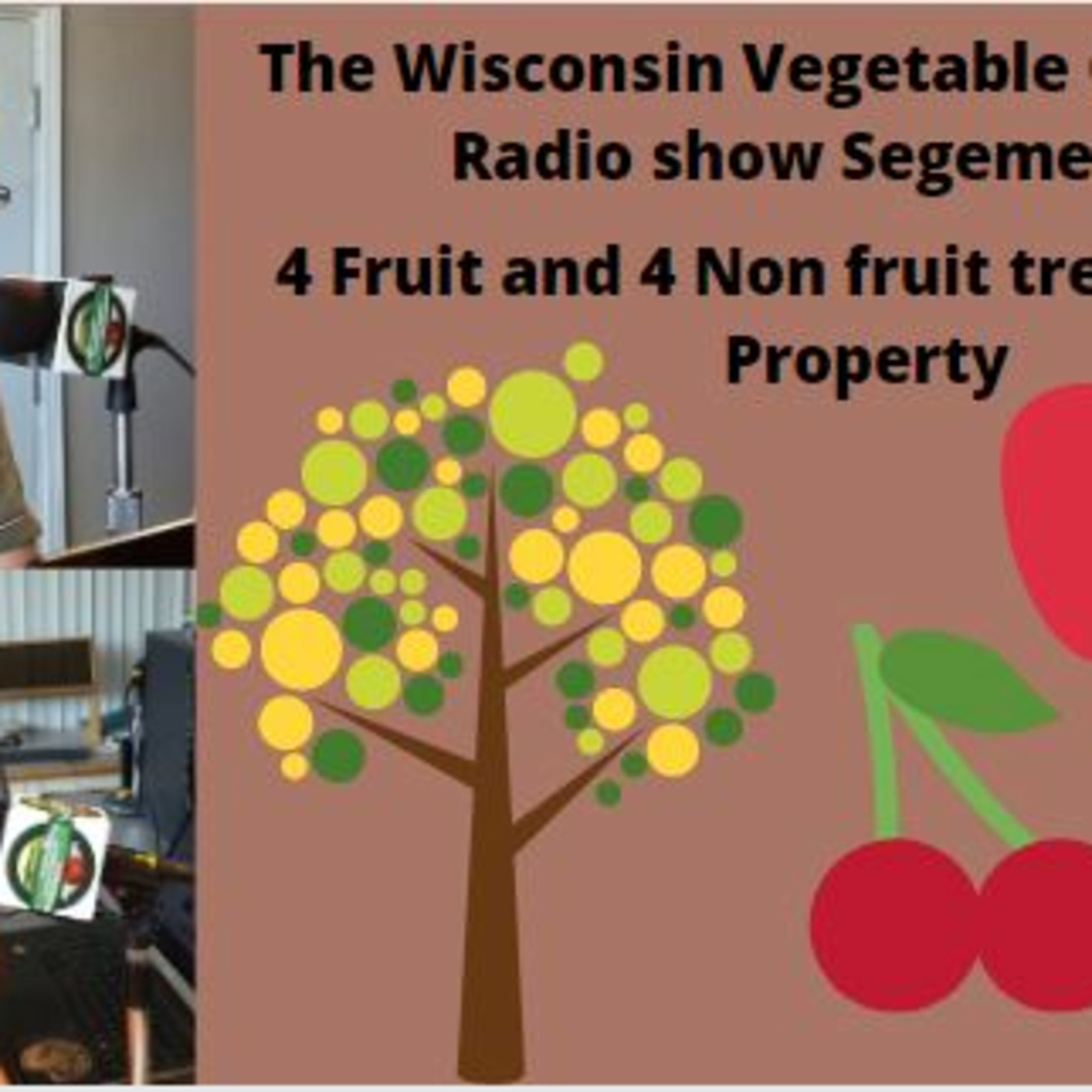 Segment 2 of S4E4 4 fruit and 4 non fruit tress for your property- The Wisconsin Vegetable Gardener radio show