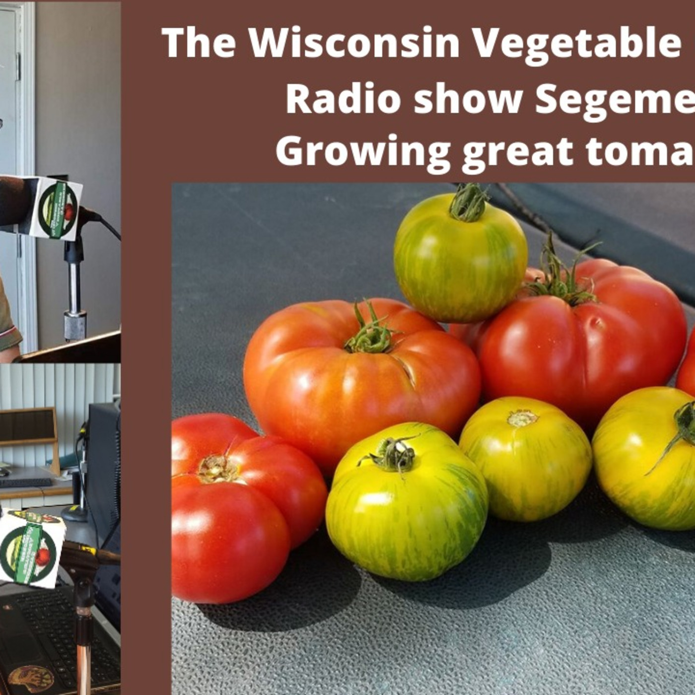 Segment 1 of S4E8 Growing great tomatoes,- The Wisconsin vegetable Gardener radio show