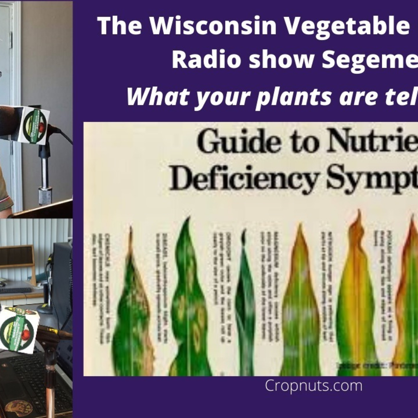 Segment 1 of S4E15 What your plants are telling you, - The Wisconsin Vegetable Gardener radio show