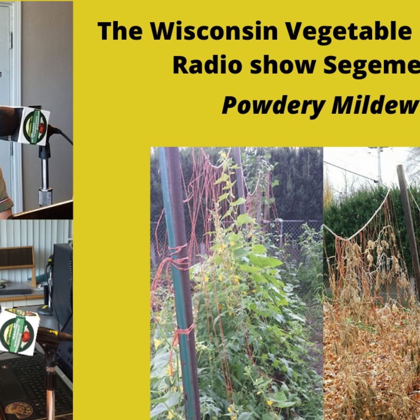 The Gardening with Joey & Holly radio show Podcast/Garden talk radio show (heard across the country)