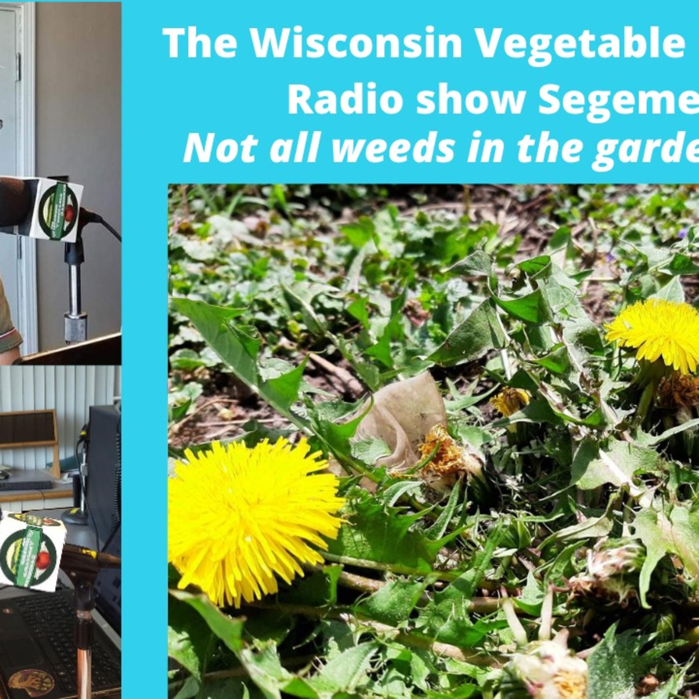 The Gardening with Joey & Holly radio show Podcast/Garden talk radio show (heard across the country)