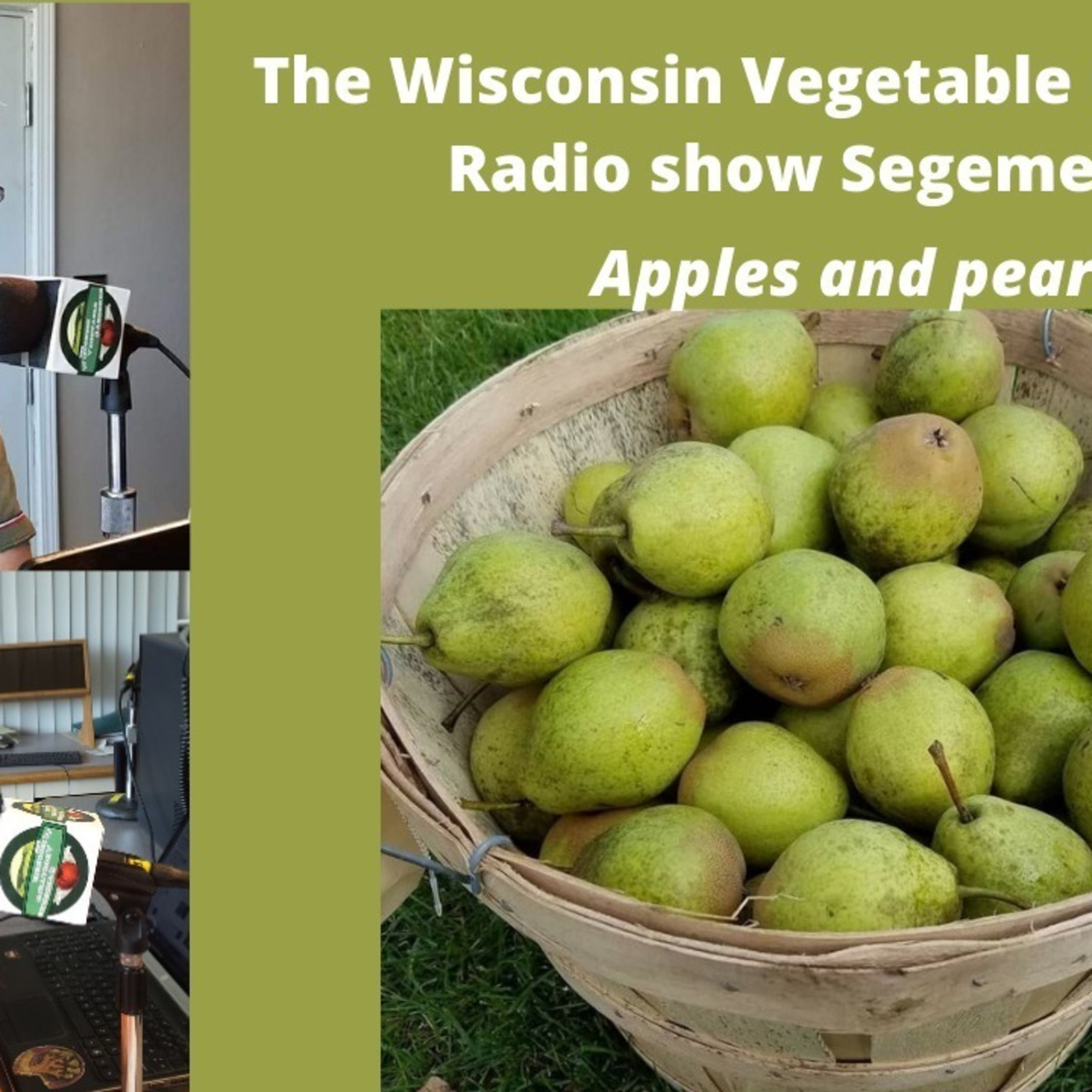 Segment 2 of S4E28  Pears and apple, The Wisconsin Vegetable Gardener radio show