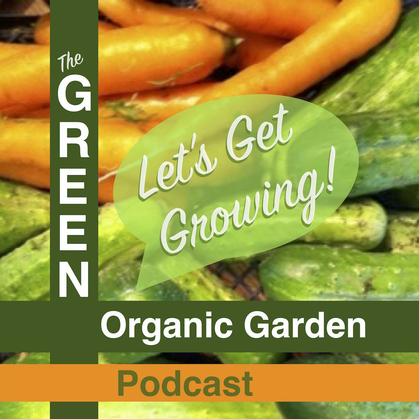 Segment 3 of S4E28  Guest Jackie Beyer - The Wisconsin Vegetable Gardener radio show