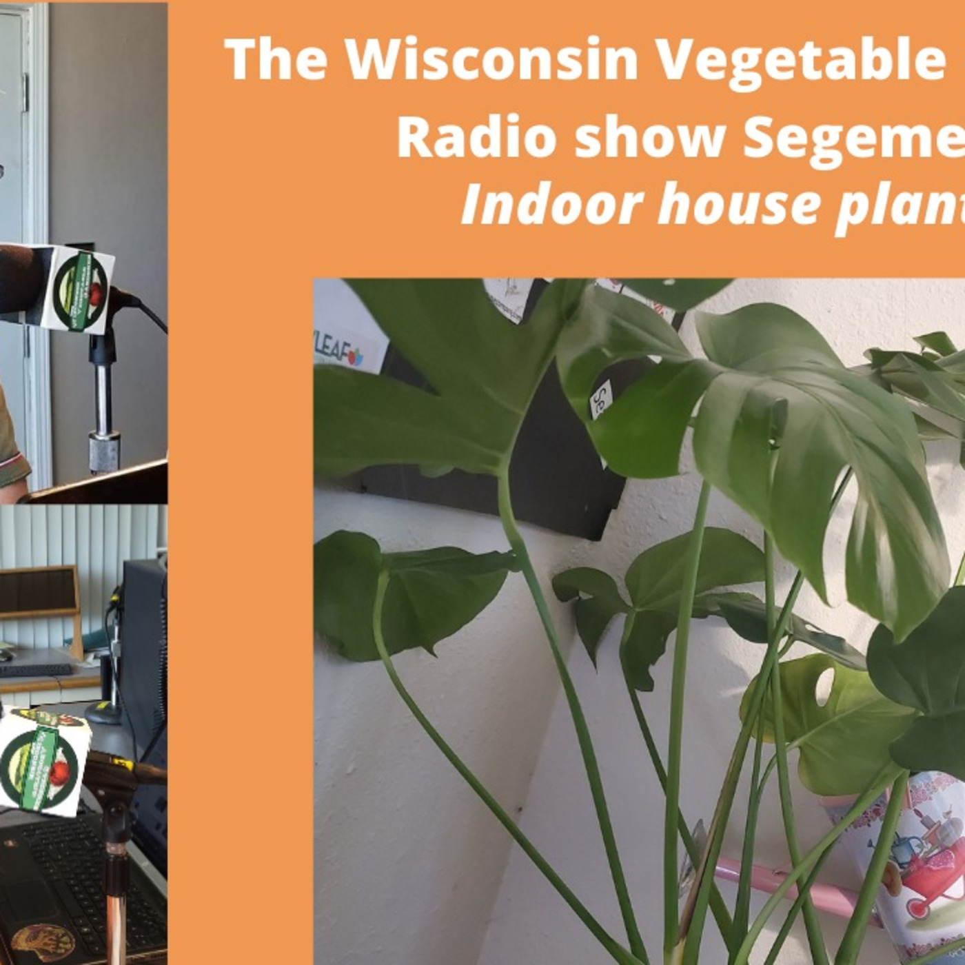 Segment 1 of S4E30 Indoor non edible house plants - The Wisconsin Vegetable Gardener radio show
