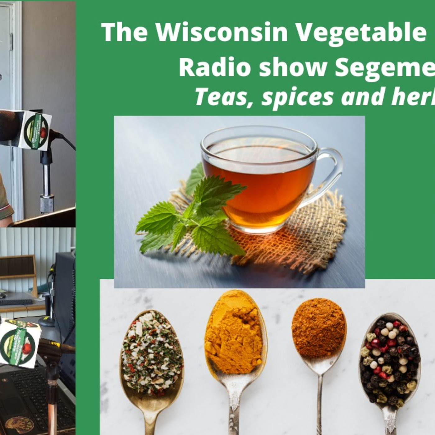 Segment 2 of S4E34 Teas, spices & herbs    - The Wisconsin Vegetable Gardener Radio show