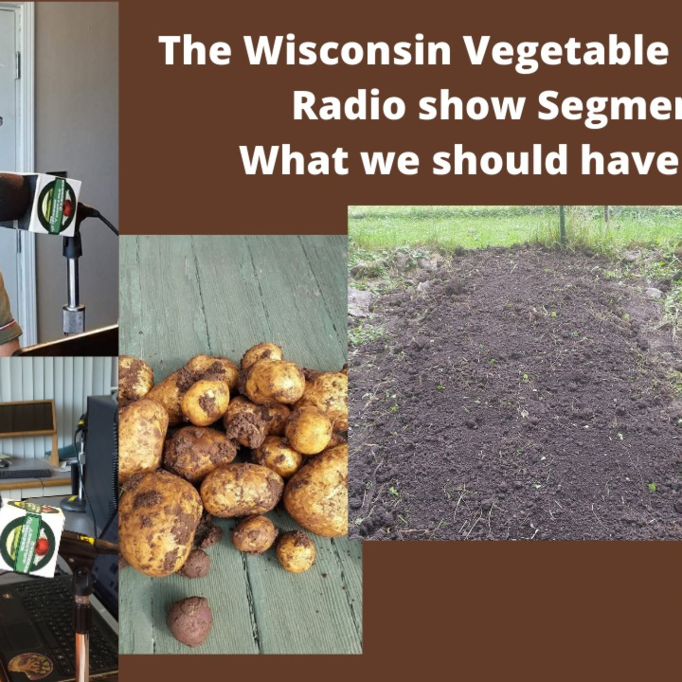 Segment 2 S4E35 What we would do different -The Wisconsin Vegetable Gardener radio show