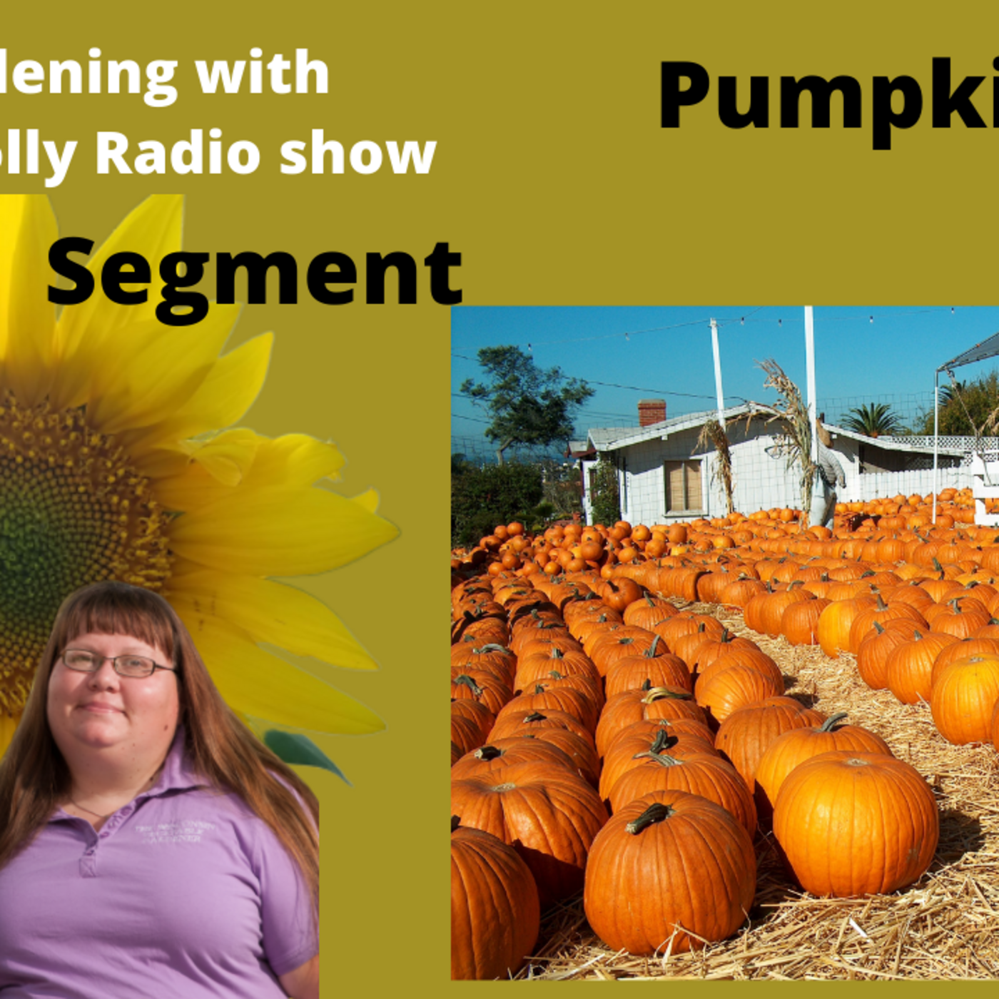 Episode 1: Segment 1 of S5E27 Pumpkins - The Gardening with Joey and Holly Radio Show