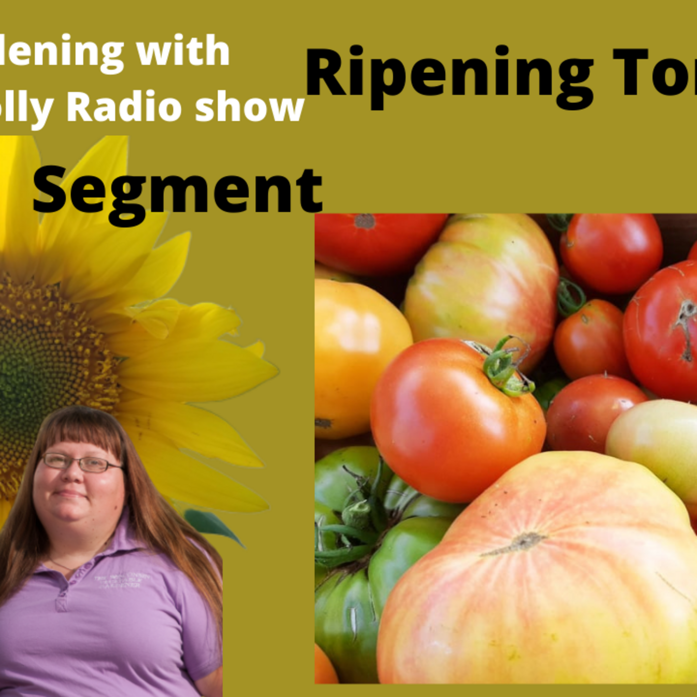 Episode 2: Segment 1 of S5E28 Ripen tomatoes before frost , - The Gardening with Joey and Holly Radio Show